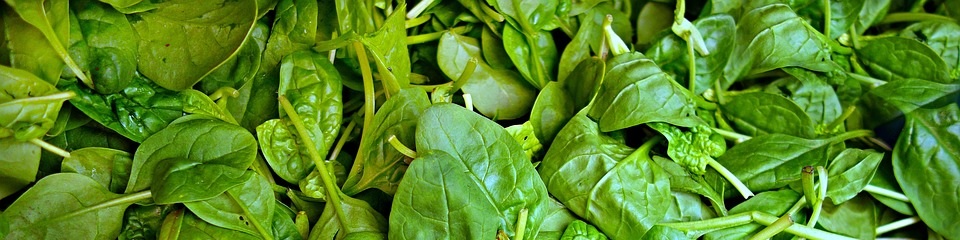 Spinaci Spinaci