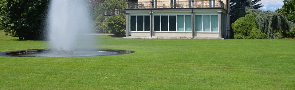 Sementi per prati da giardino Sementi per prati da giardino