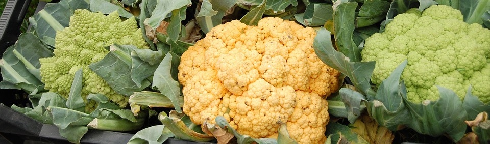 Cavolfiori Cavolfiori