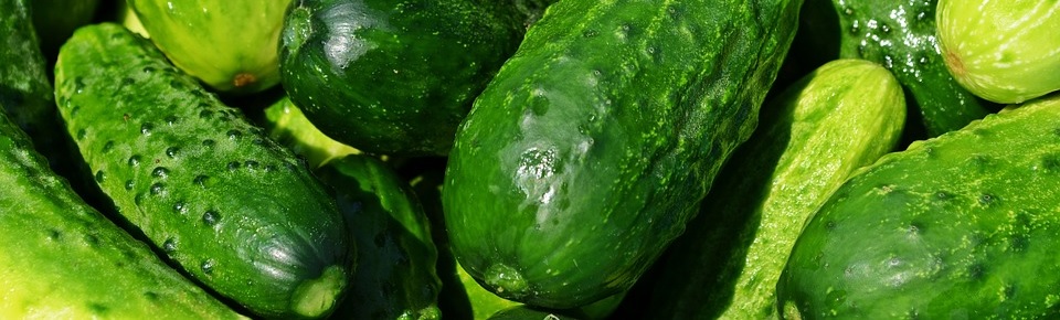 Cetrioli Cetrioli