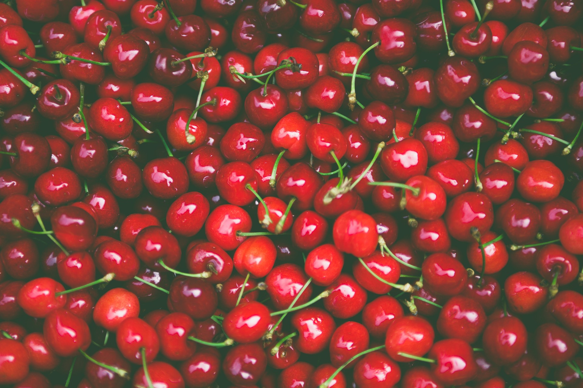Ciliegi