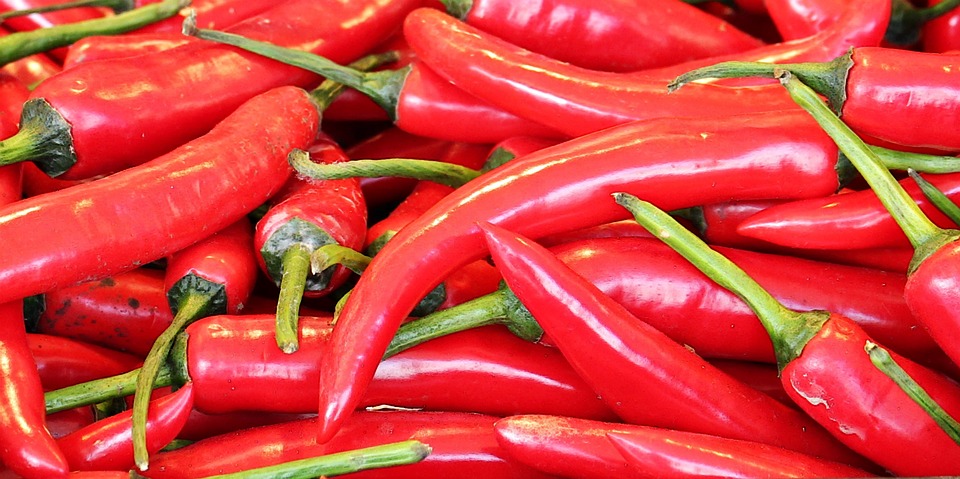 Peperoncini piccanti Peperoncini piccanti