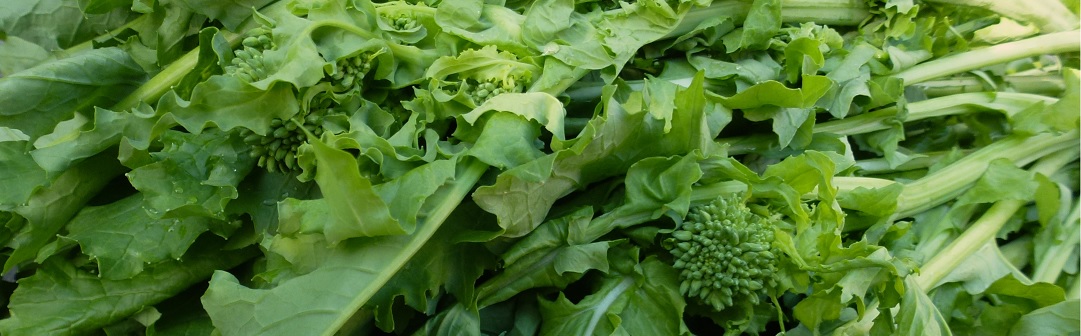 Cime di rapa Cime di rapa