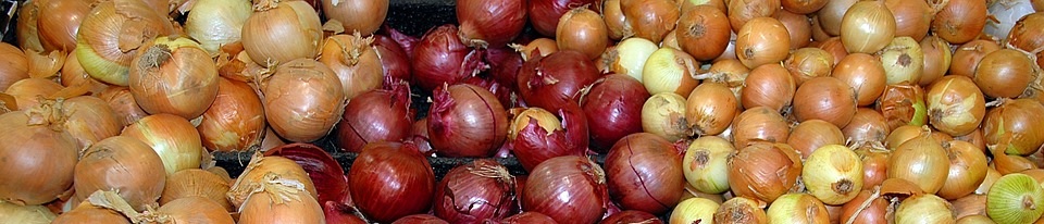 Onion Onion