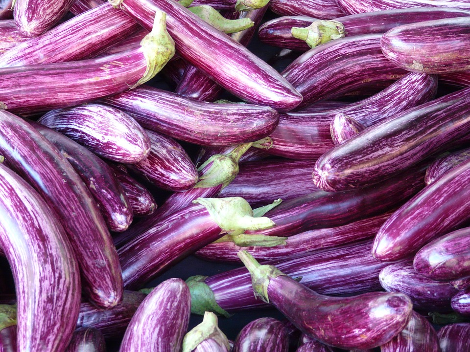 Melanzane lunghe