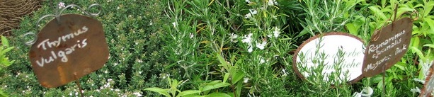 Etichette Etichette