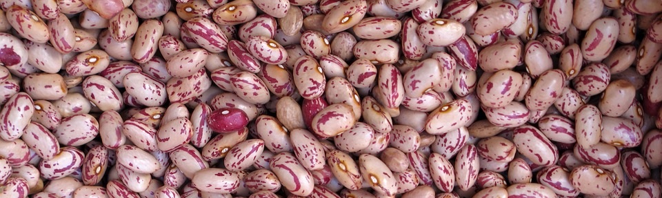 Fagioli Fagioli