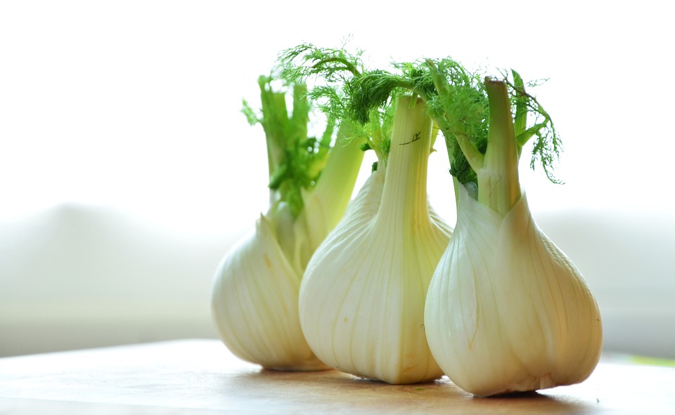 Fennel Fennel