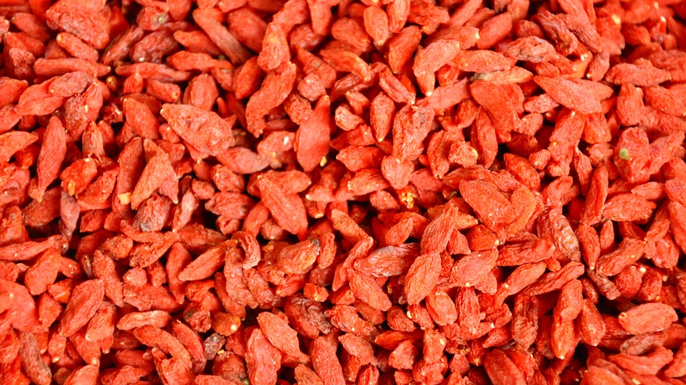 Essicatori e germinatori Essicatori e germinatori