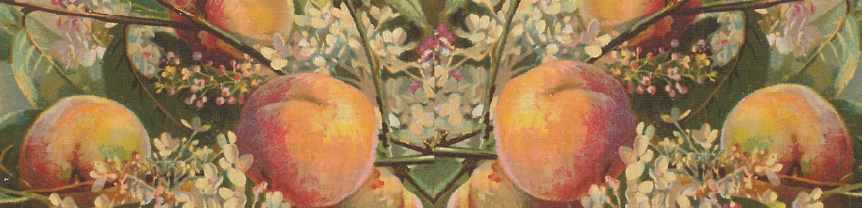 Frutti antichi