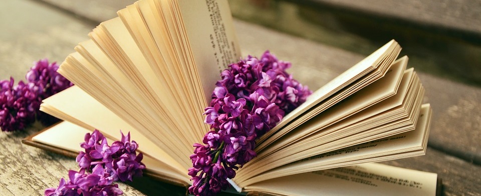 Libri Libri