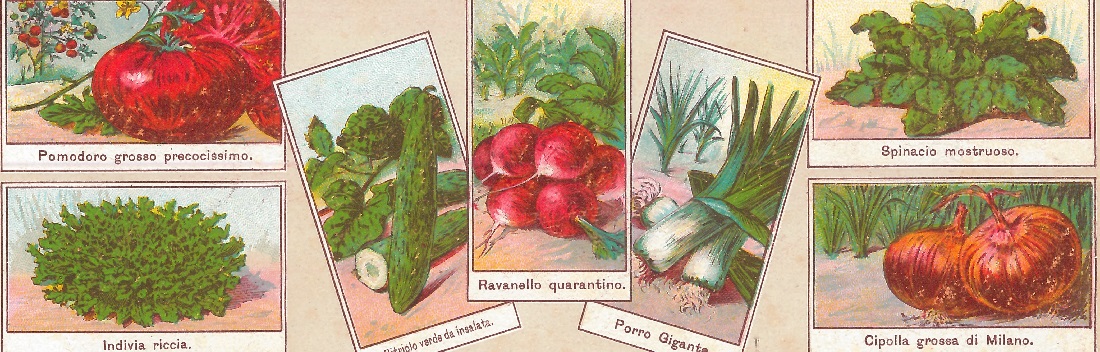 VARIETA' ANTICHE VARIETA' ANTICHE