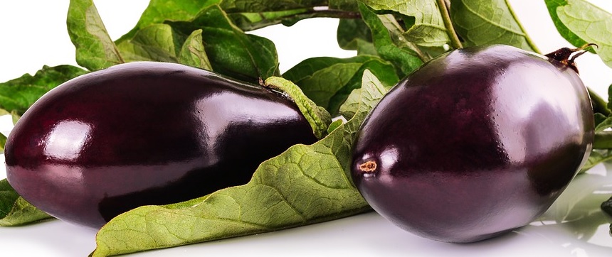 Melanzane tonde Melanzane tonde