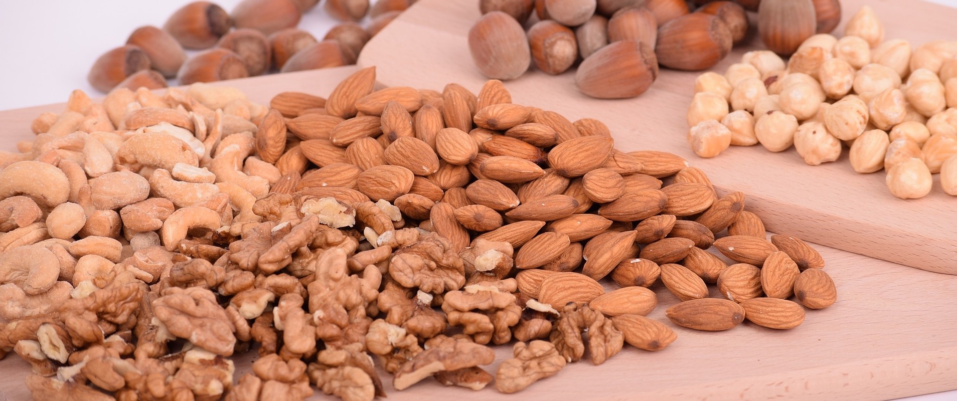 Noci noccioli e mandorli