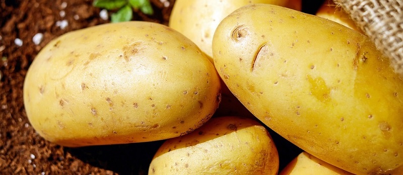 Patate