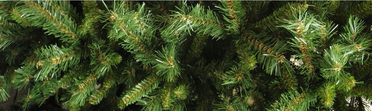 Alberi di Natale