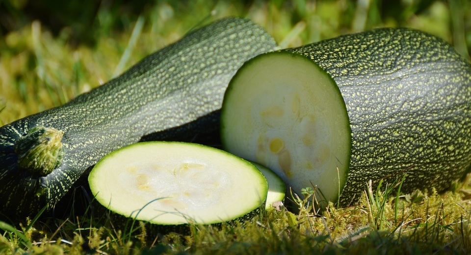 Zucchine tonde