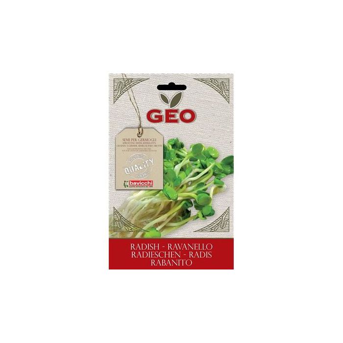 BUSTA GERMOGLI DI RAVANELLO DAIKON BUSTA GERMOGLI DI RAVANELLO DAIKON