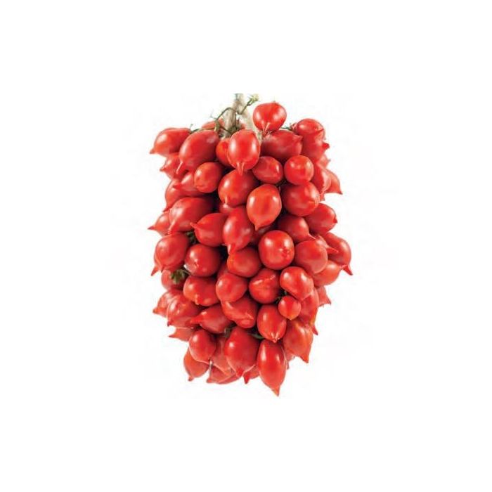 pomodoro piennolo rosso ingegnoli pomodoro piennolo rosso ingegnoli
