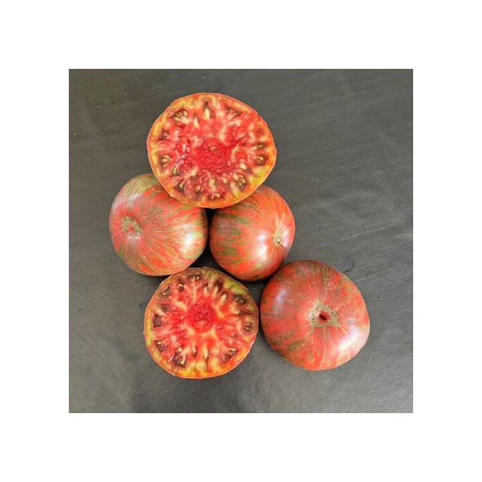 INGEGNOLI Pomodoro Cherokee purple SEZIONE INGEGNOLI Pomodoro Cherokee purple SEZIONE