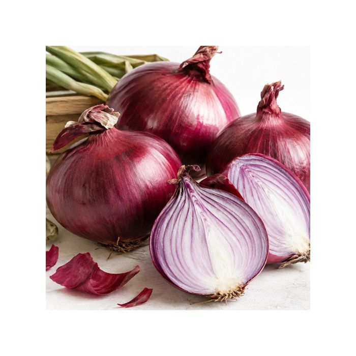 CIPOLLA ROSSA BREME CIPOLLA ROSSA BREME