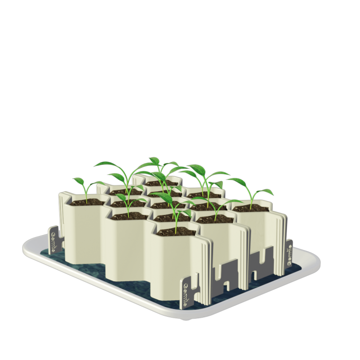 Kit di germinazione large Kit di germinazione large