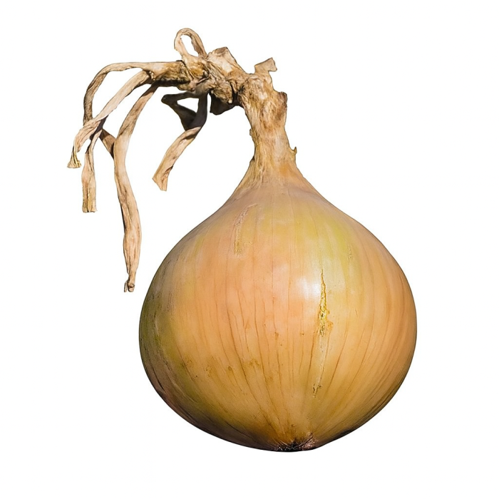 Cipolla gigante dolce