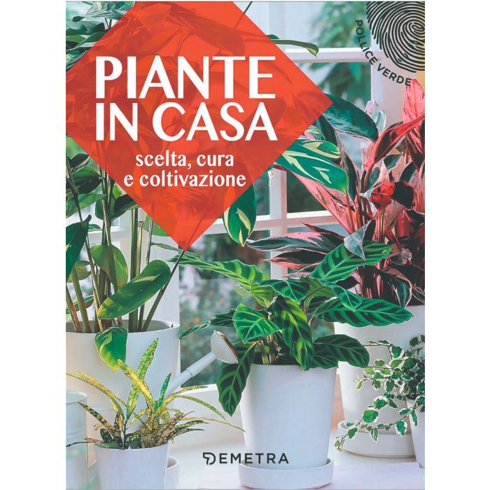 LIBRO PIANTE IN CASA