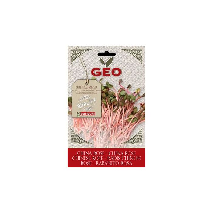 BUSTINA GERMOGLI RAVANELLO ROSA