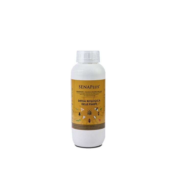 SENAPLUS OLIO SENAPLUS OLIO