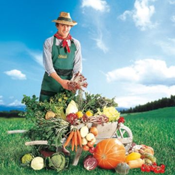 30 SPECIALITA' DI SEMENTI DA ORTO INGEGNOLI OFFERTA - 10000