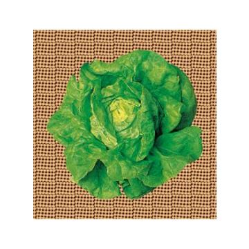 KAGRAN SUMMER RIBBON LETTUCE - 10059