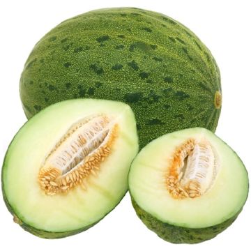 MELONE PINONET PIEL DE SAPO - 1235