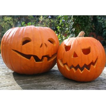 ZUCCA DI HALLOWEEN JACK O'LANTERN - 1596