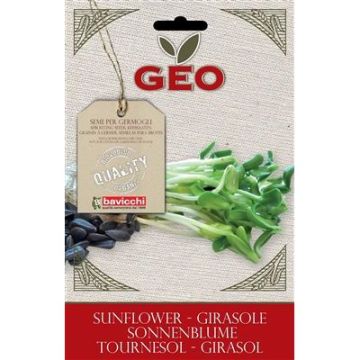 BUSTINA GERMOGLI BEIGE E ROSSA