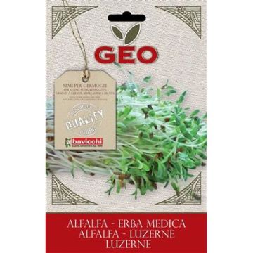 ERBA MEDICA BUSTINA DI GERMOGLI