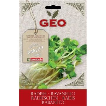 BUSTA GERMOGLI DI RAVANELLO DAIKON