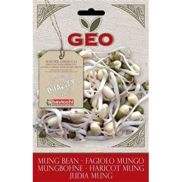 BUSTINA GERMOGLI FAGIOLO MUNGO