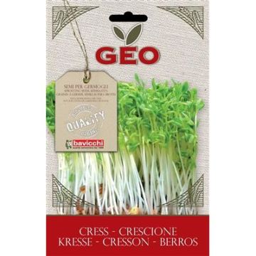 BUSTA GERMOGLI DI CRESCIONE