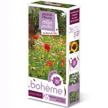 Boheme - 2580