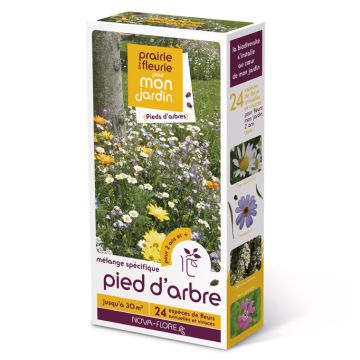 AI PIEDI DEGLI ALBERI - 2589