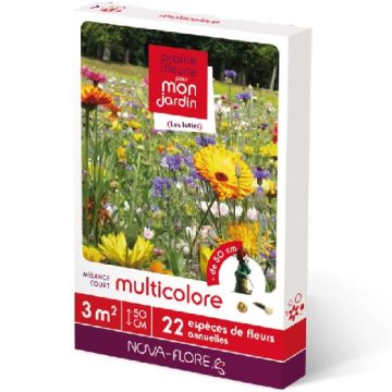LONG FLOWERING - 2595