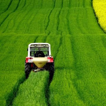 MISCUGLIO DI SEMENTI PER PRATI STABILI IN TERRENI IRRIGUI E FRESCHI - 3512