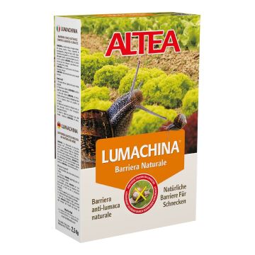 LUMACHINA - 52815-