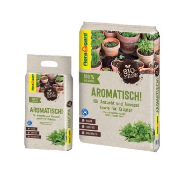 TERRICCIO SEMINA E PIANTE AROMATICHE - 56269/56271
