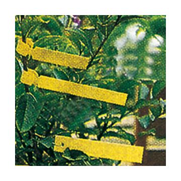 PLASTIC LABELS (12 x 1.3 cm) - 57712 -/ 57716