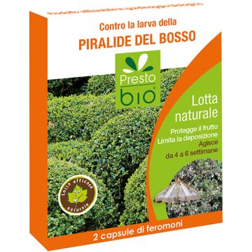 FEROMONI CONTRO LA LARVA DELLA PIRALIDE DEL BOSSO - 58028-