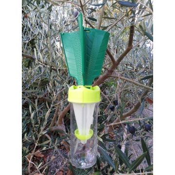 TRAPPOLA PER CIMICI ASIATECHE DIABLEX - 58112-/58111