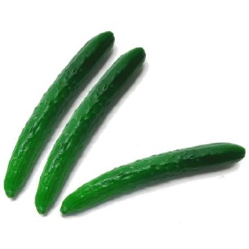 CETRIOLO HYBRID F1 DASHER - 1592