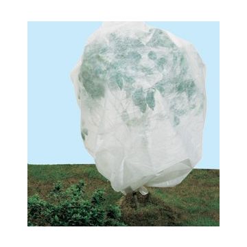 ORTOCLIMA PLUS - 50252-